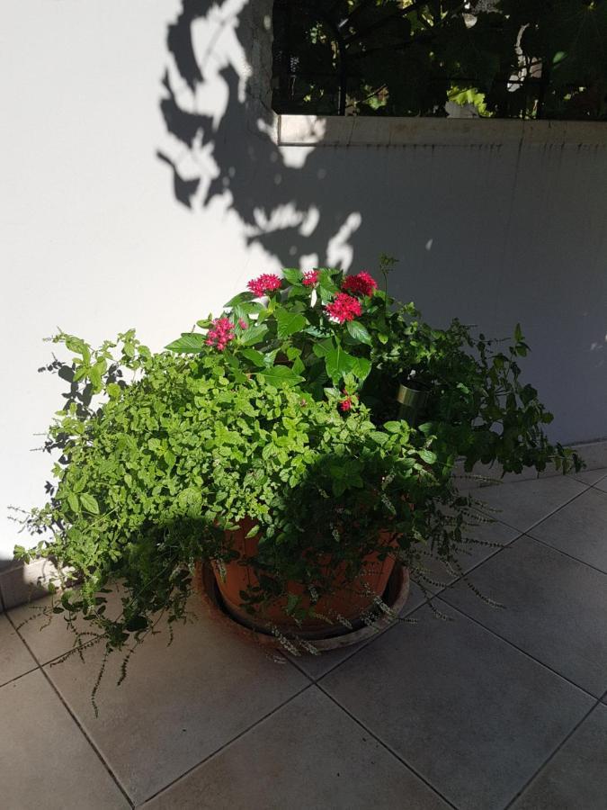 Apartment 22 Omiš Zewnętrze zdjęcie