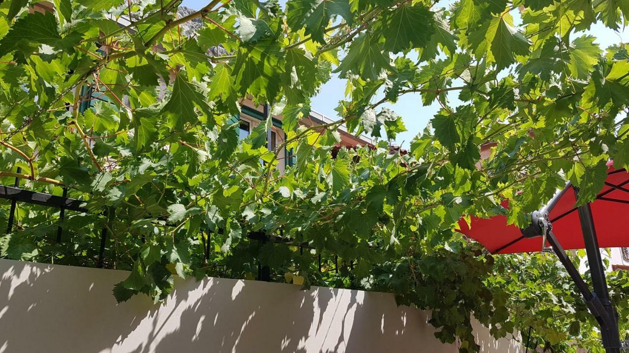 Apartment 22 Omiš Zewnętrze zdjęcie